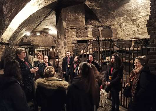 Ilocki Podrumi wine cellars